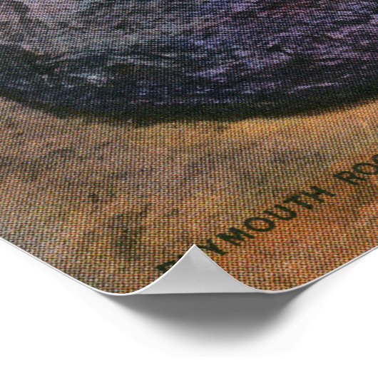 Uitzicht van de Real Plymouth Rock Poster (Hoek)