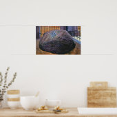 Uitzicht van de Real Plymouth Rock Poster (Keuken)