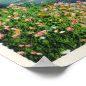 Uitzicht van de rivier de Israël en de presidentië Poster (Hoek)