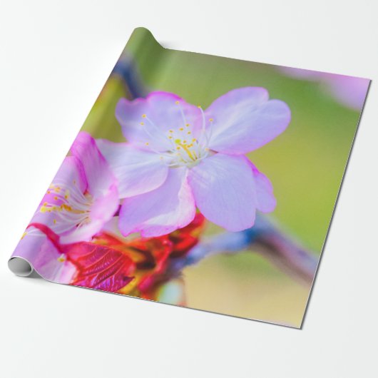 Uitzicht van de roze Sakura Cherry Blossom Cadeaupapier (Uitgerold)