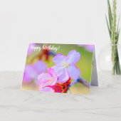 Uitzicht van de roze Sakura Cherry Blossom Kaart (Voorkant)