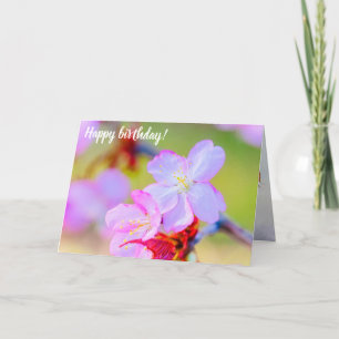 Uitzicht van de roze Sakura Cherry Blossom Kaart