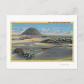 Uitzicht van de Sand Dunes naast de kust Briefkaart (Voorkant)