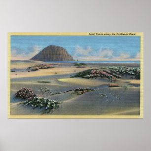 Uitzicht van de Sand Dunes naast de kust Poster