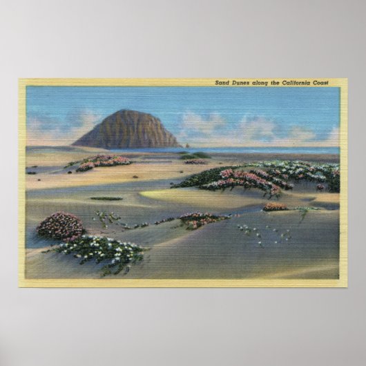 Uitzicht van de Sand Dunes naast de kust Poster (Voorkant)