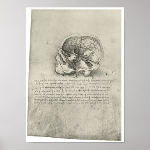 Uitzicht van de schedel, Leonardo da Vinci Poster
