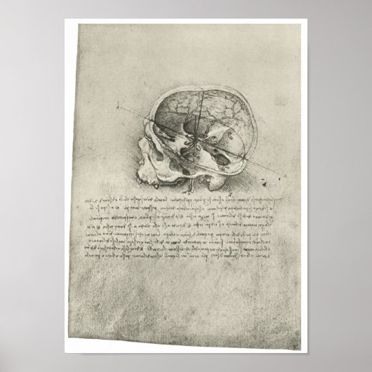 Uitzicht van de schedel, Leonardo da Vinci Poster (Voorkant)