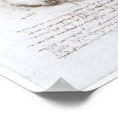 Uitzicht van de schedel, Leonardo da Vinci Poster (Hoek)