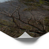 Uitzicht van de Schilderachtig aandrijving van Tal Poster (Hoek)