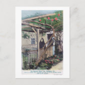 Uitzicht van de Sherman Roos TreeMonterey, CA Briefkaart (Voorkant)