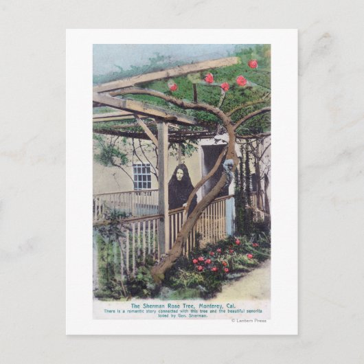 Uitzicht van de Sherman Roos TreeMonterey, CA Briefkaart (Voorkant)