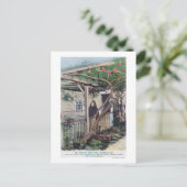 Uitzicht van de Sherman Roos TreeMonterey, CA Briefkaart (Staand voorkant)