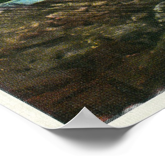 Uitzicht van de Shore nabij Camden Harbour Poster (Hoek)