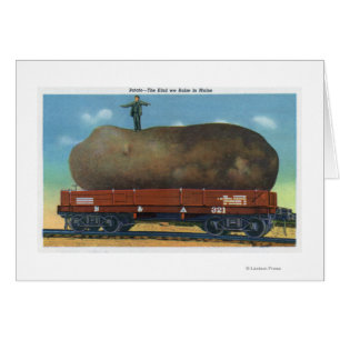 Uitzicht van de soort aardappelen, geteeld in maï