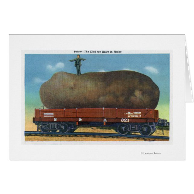 Uitzicht van de soort aardappelen, geteeld in maïs (Voorkant Horizontaal)