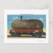 Uitzicht van de soort aardappelen, geteeld in maïs briefkaart (Voorkant)