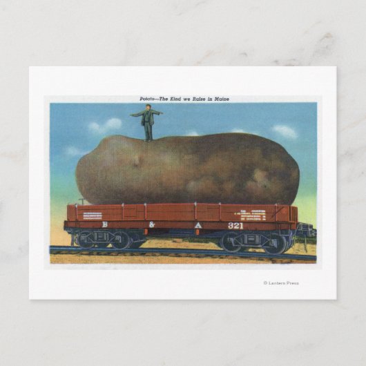 Uitzicht van de soort aardappelen, geteeld in maïs briefkaart (Voorkant)