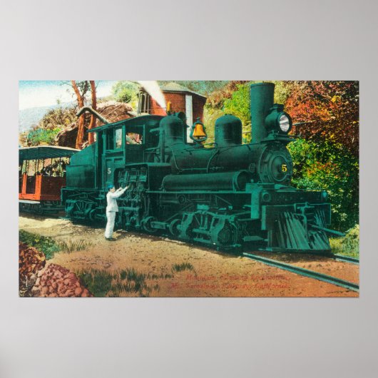 Uitzicht van de spoorlijn Mt. Tamalpais Poster (Voorkant)