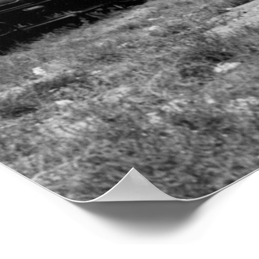 Uitzicht van de spoorweg Virginia & Truckee Poster (Hoek)