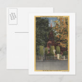 Uitzicht van de St. James Episcopale Kerk Briefkaart (Voorkant / Achterkant)