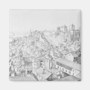 Uitzicht van de stad Avignon en de omgeving daarva Magneet