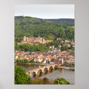 Uitzicht van de stad Heidelberg met het kasteel Poster
