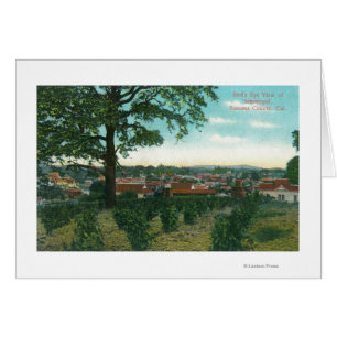 Uitzicht van de stad Sebastopol, CA