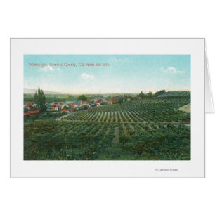 Uitzicht van de stad Sonoma uit de heuvel