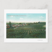 Uitzicht van de stad Sonoma uit de heuvel Briefkaart (Voorkant)