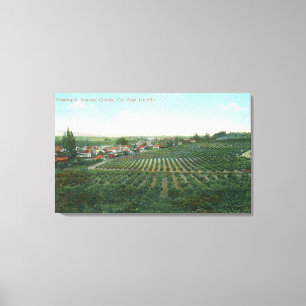 Uitzicht van de stad Sonoma uit de heuvel Canvas Afdruk