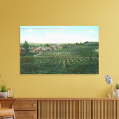 Uitzicht van de stad Sonoma uit de heuvel Canvas Afdruk (Insitu (Woonkamer))