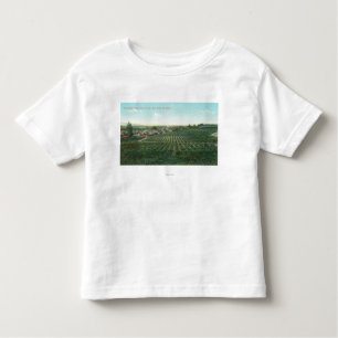 Uitzicht van de stad Sonoma uit de heuvel Kinder Shirts