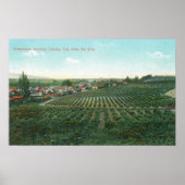 Uitzicht van de stad Sonoma uit de heuvel Poster (Voorkant)