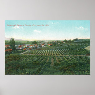 Uitzicht van de stad Sonoma uit de heuvel Poster