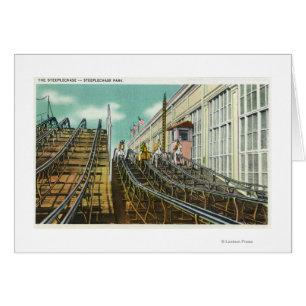 Uitzicht van de Steeplechase Rollerachtbaan