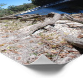 Uitzicht van de Suwannee Poster (Hoek)