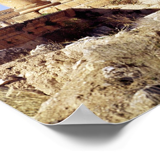 Uitzicht van de tempel van Artemis, gebouwd c.386 Poster (Hoek)