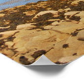 Uitzicht van de "The Bar" Poster (Hoek)