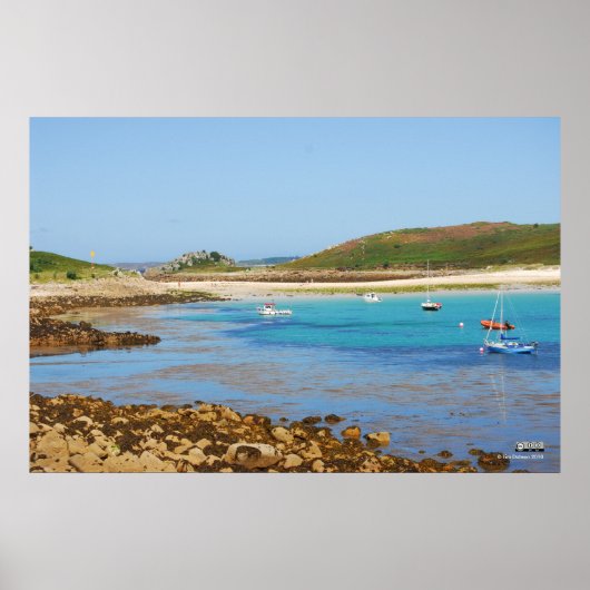 Uitzicht van de "The Bar" Poster (Voorkant)