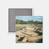 Uitzicht van de thermische baden magneet (Voorkant / Achterkant)