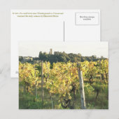 Uitzicht van de Toscane en de Chianti Vineyard Briefkaart (Voorkant / Achterkant)