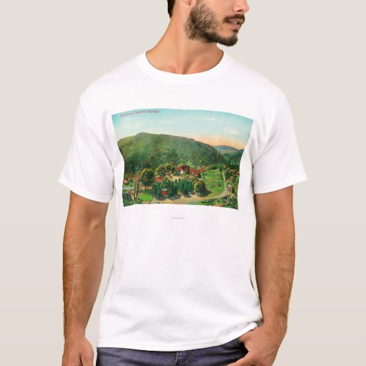 Uitzicht van de TownBartlett Springs, CA T-shirt (Voorkant)