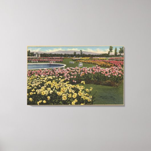 Uitzicht van de tuin van het gemeenteRoos Canvas Afdruk (Voorkant)