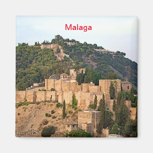 Uitzicht van de vesting Alcazaba in Malaga Magneet