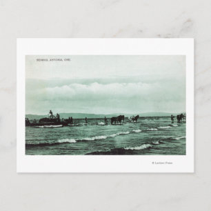 Uitzicht van de visserij met de zegen, paardenkarr briefkaart
