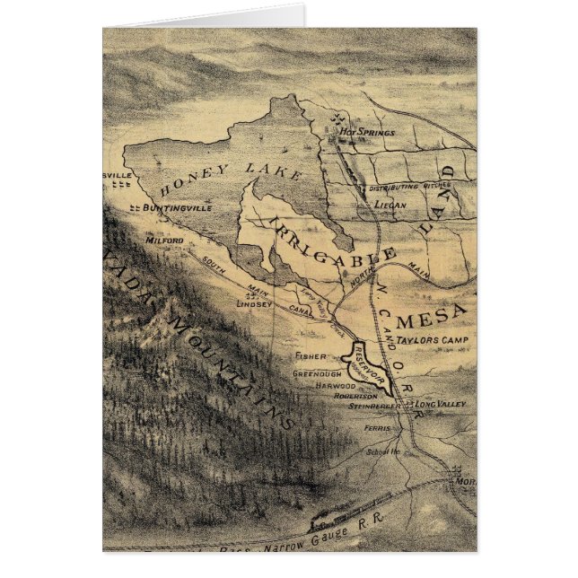 Uitzicht van de vogelsoort, Honey Lake Valley (Voorkant)