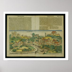 Uitzicht van de vogelsoort Salzburg van de Neurenb Poster