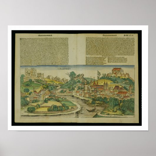 Uitzicht van de vogelsoort Salzburg van de Neurenb Poster (Voorkant)