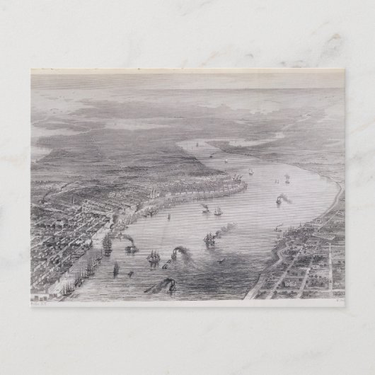 Uitzicht van de vogelsoort van New Orleans Briefkaart (Voorkant)