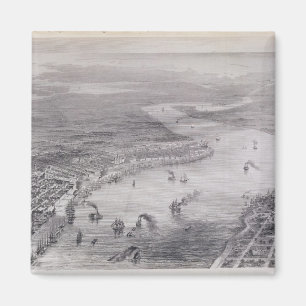 Uitzicht van de vogelsoort van New Orleans Magneet